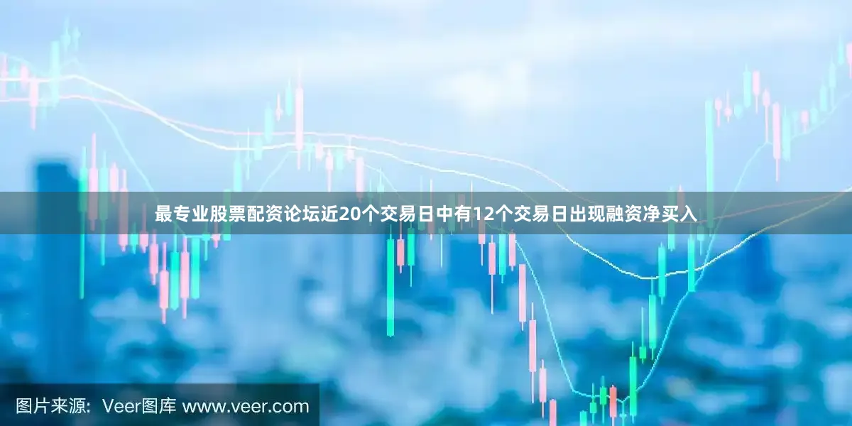 最专业股票配资论坛近20个交易日中有12个交易日出现融资净买入