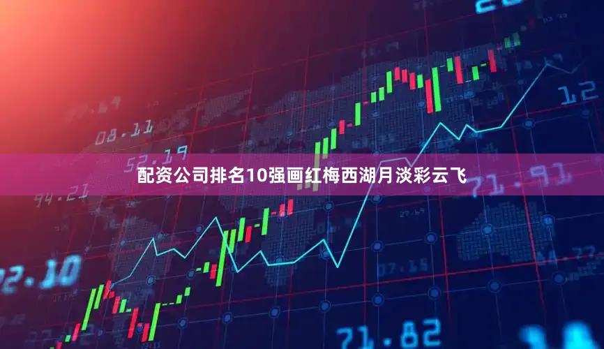 配资公司排名10强画红梅西湖月淡彩云飞